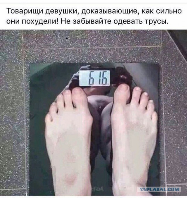 Порция картинок из сети