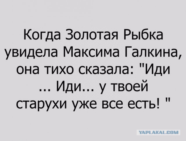 Смешные комментарии из социальных сетей 10.02.2017