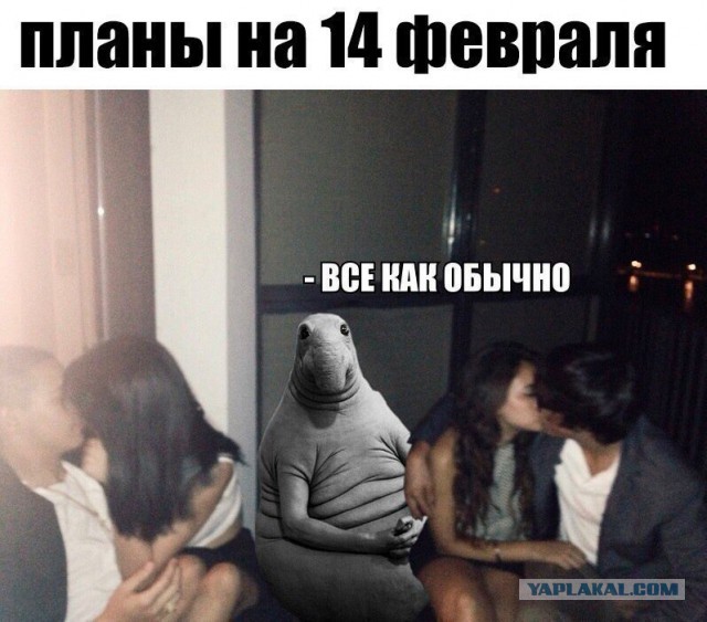 Смешные комментарии из социальных сетей 10.02.2017