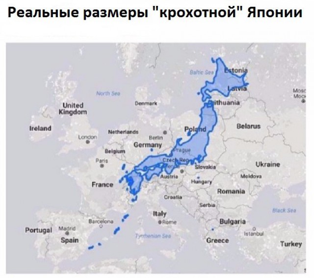Набористый набор картинок