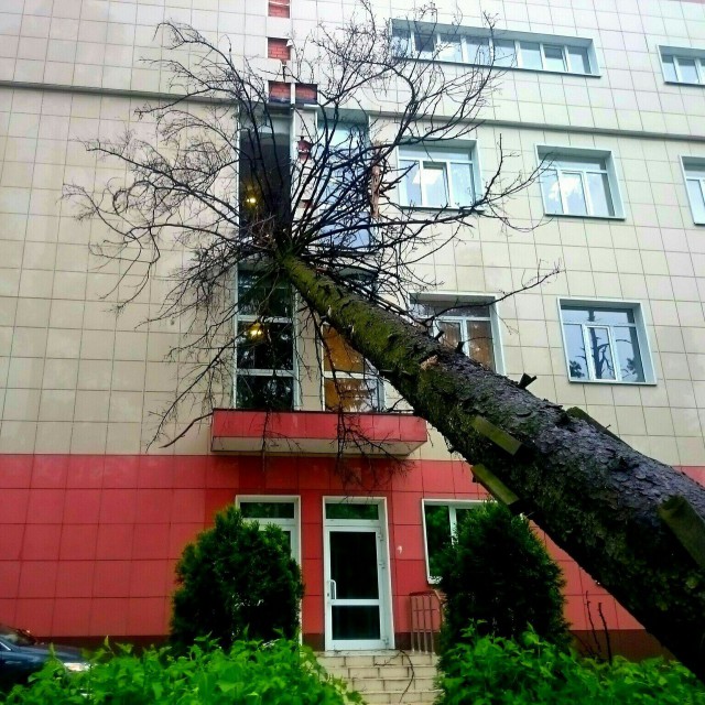 В Москве ураган!