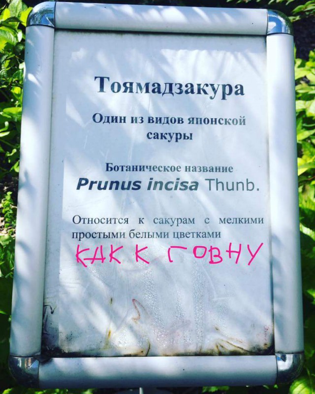 Всякие вывески, надписи и тд. и тп.