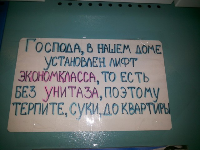 130 картинок для поднятия настроения!