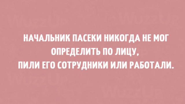 Как не крути, а всё в точку