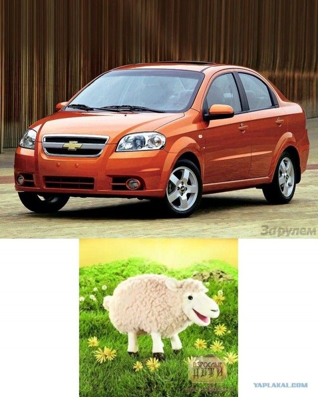 Клички у автомобилей