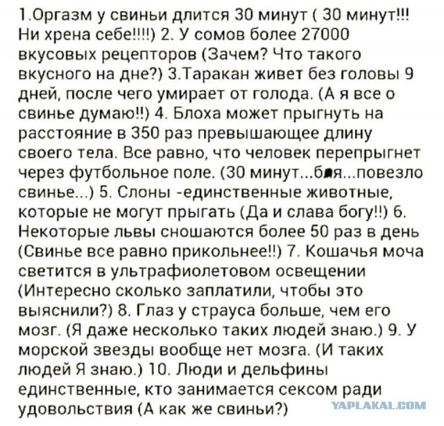 Смешные комментарии из социальных сетей 08.06.2018
