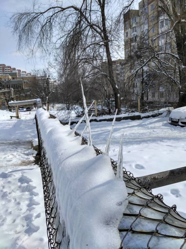 Подборка интересных и веселых картинок