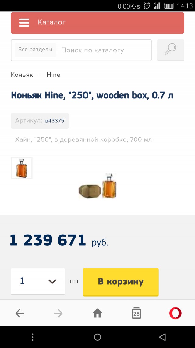 В Крыму лев напал на кировчанку: вместо обезболивающего она попросила коньяка