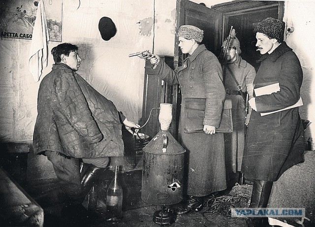 XX век представляет