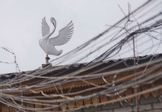 Давай поженимся - и что теперь делать?