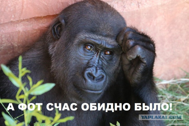 Ил-20. Чья голова больна, чья голова здорова?