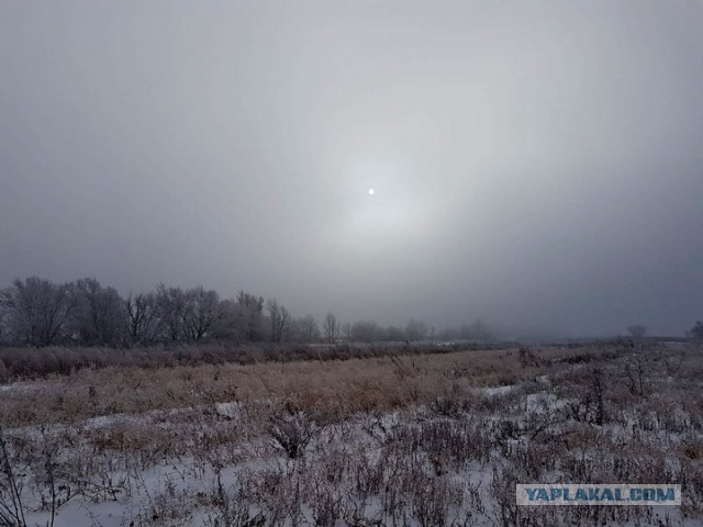 Плов с курицей