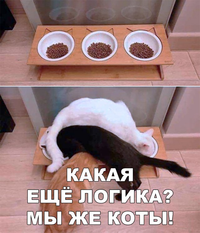 Нестандартный юмор