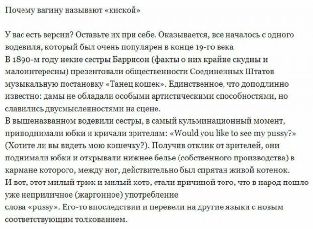 Анекдоты, соц-сети и картинки с надписями