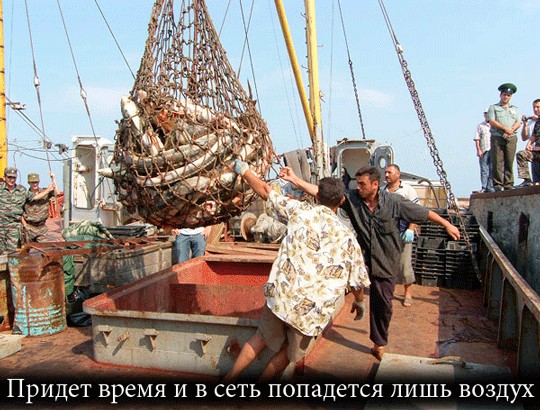 Конкурс на лучшую фотожабу против браконьеров.