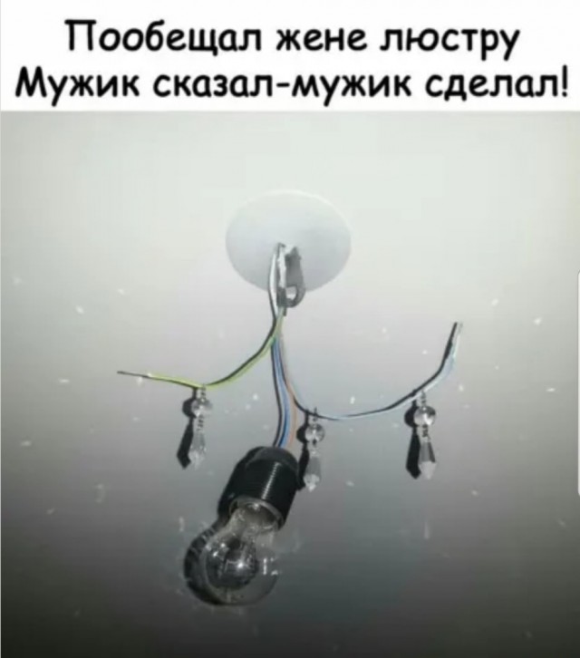 Применим физику в постели или белка и стрелка. Картинки