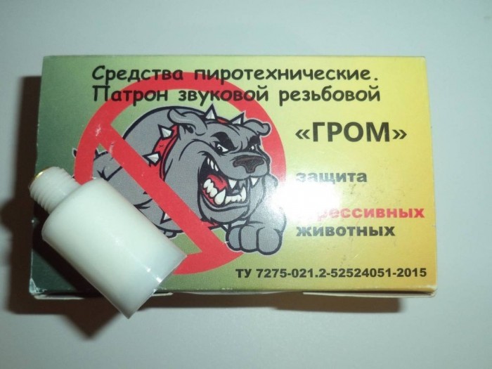 Стая бродячих псов утроила охоту на североуральского подростка