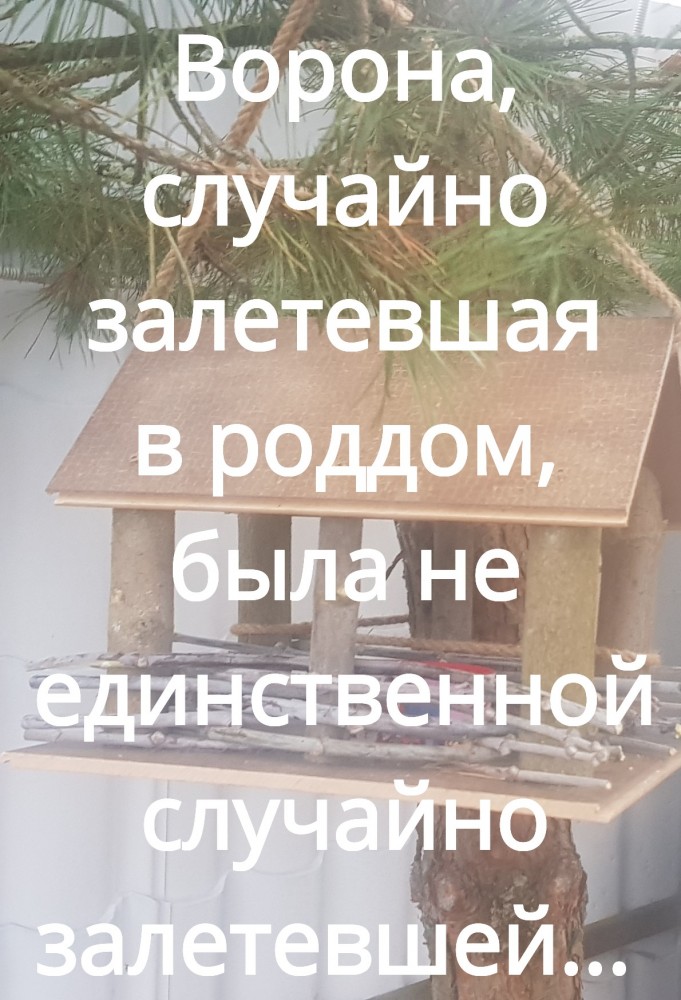 Четыре типа женщин с низким уровнем социальной ответственности