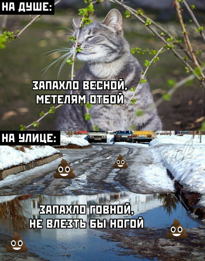 Чуток картинок. 29.02.20