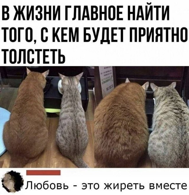 Юмор в картинках 07.09.20