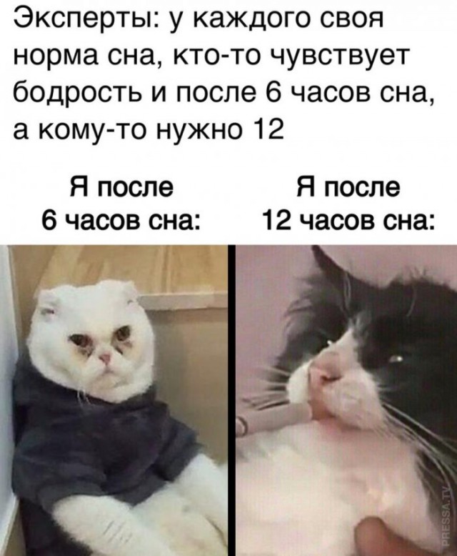 Немного картинок для настроения 06.11.20