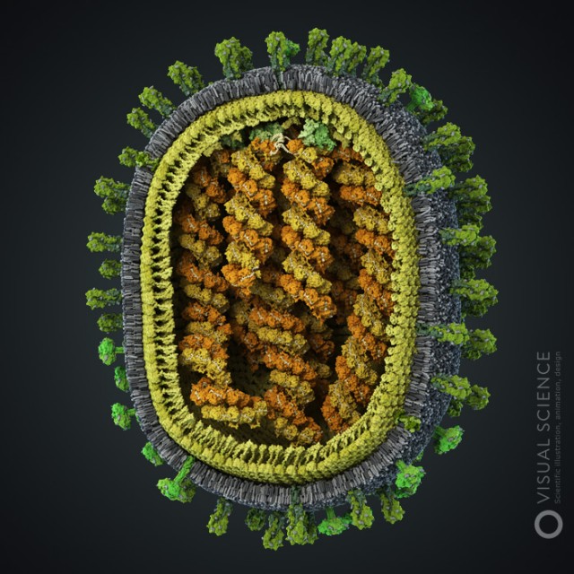О коронавирусе, Петровиче и вакцинах