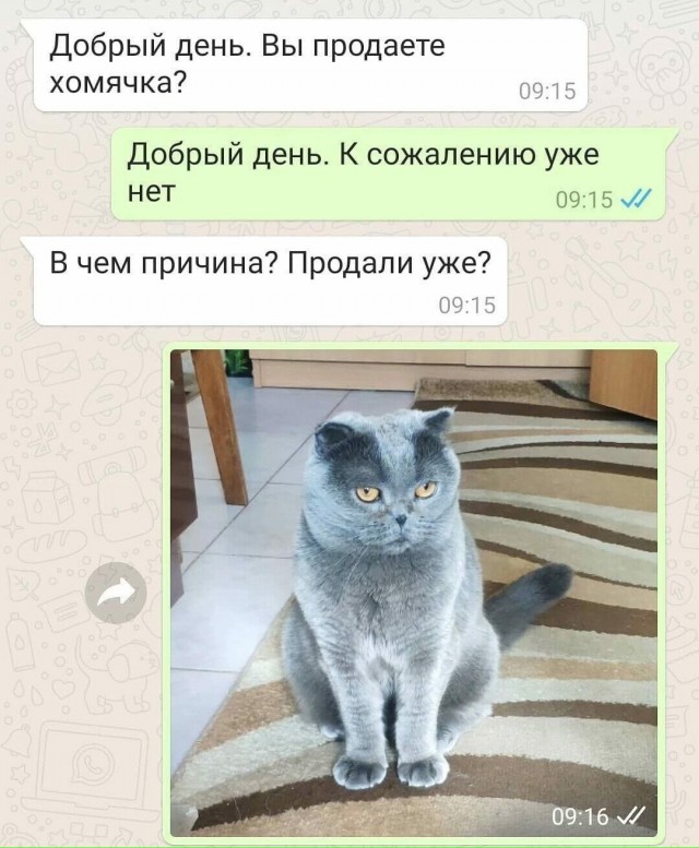 Отовсюду обо всём
