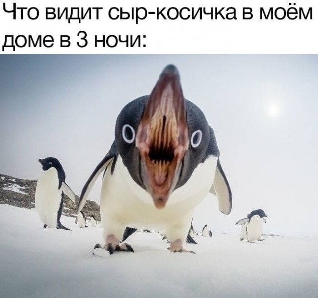 Весёлый полтишок 2.03