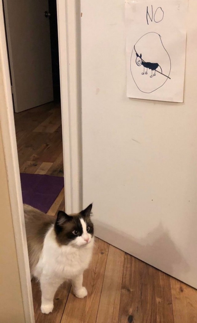 Картинки и мемы для настроения 28.07.2021