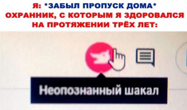 Забавные комментарии из социальных сетей (13.09.21)