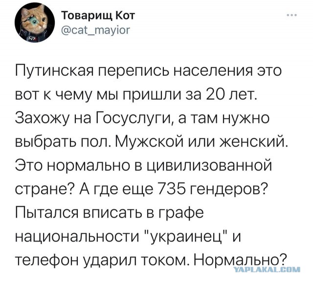 Нас всех хотят пересчитать. В России началась перепись населения