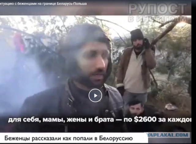 Всё что нужно знать про ситуацию с беженцами на границе Беларусь-Польша