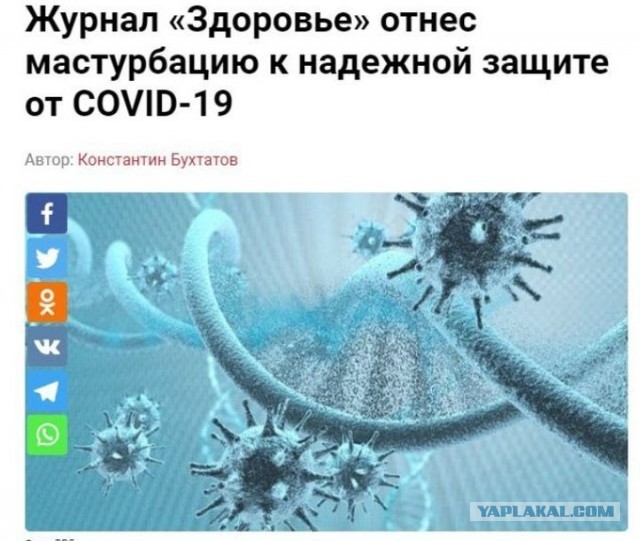 Весёлый полтишок 26.11