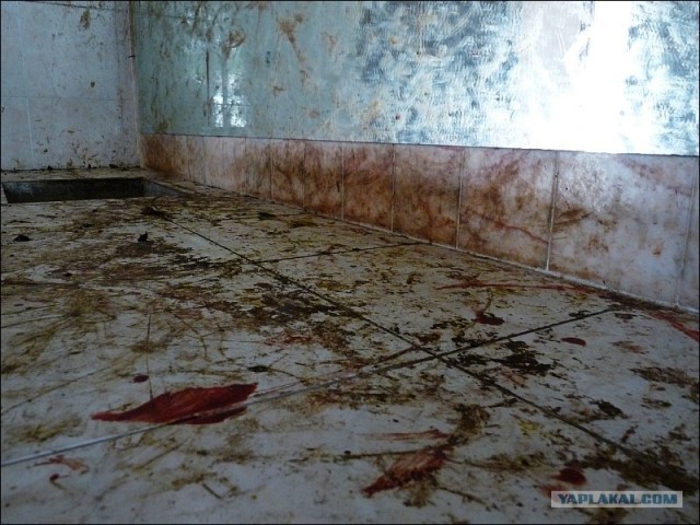 Заброшенные особняки Джоржтауна