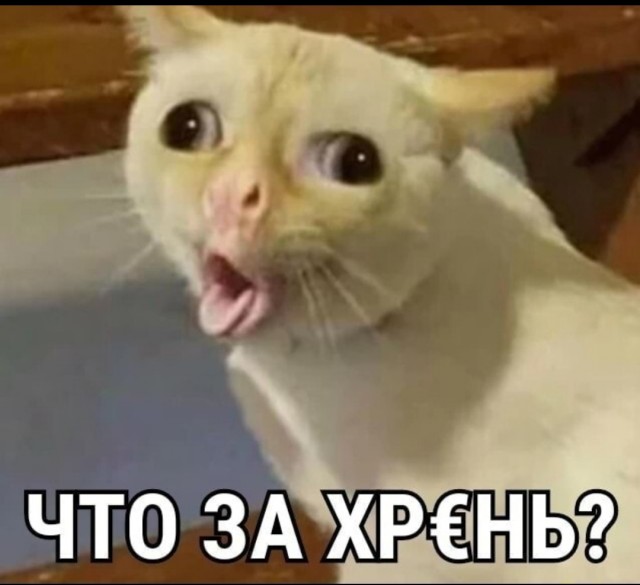 Свидание за 25000 рублей...