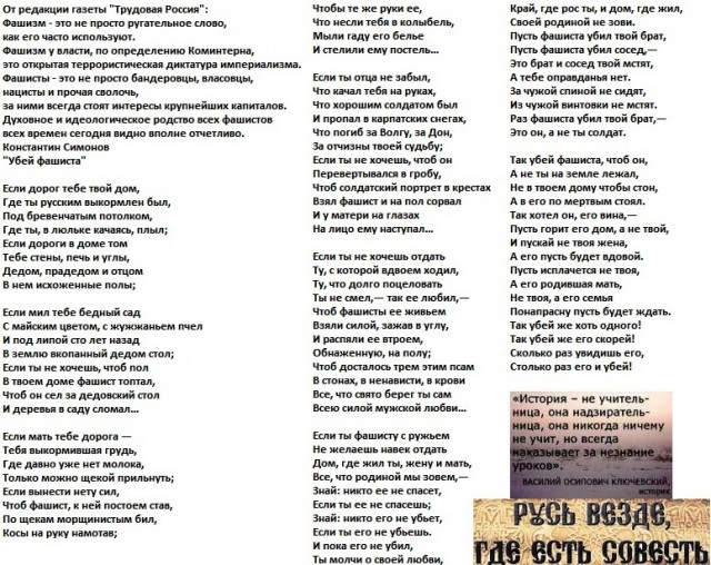 Грабители убили кассира «Пятёрочки» в Истре в ходе налёта на магазин