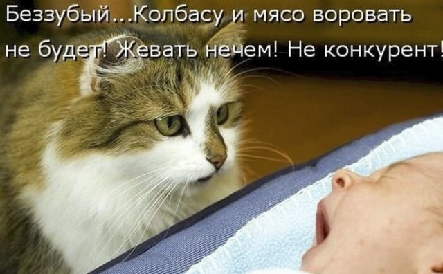 Немного картинок и прочей хреноты Vol. 6