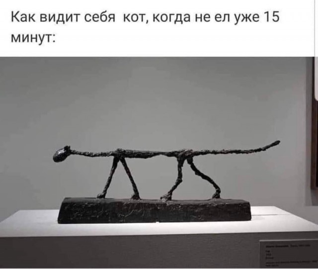 Немного картинок разной степени новизны и адекватности - 14
