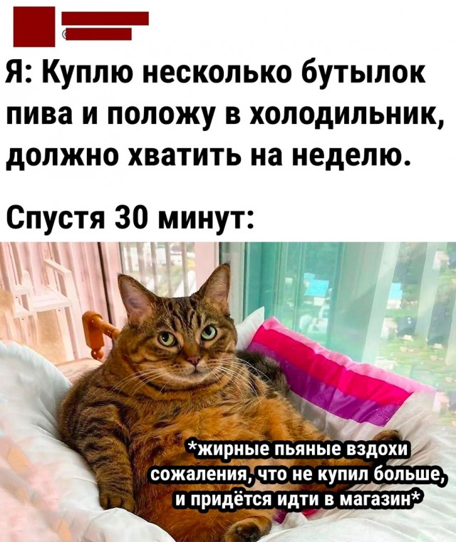 Так себе картинки 05.05.22