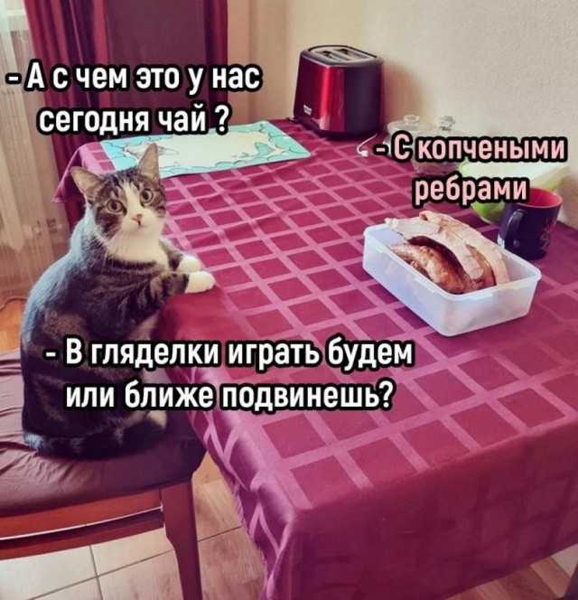 50 оттенков серого. Vol 16. Или самосвал баянов