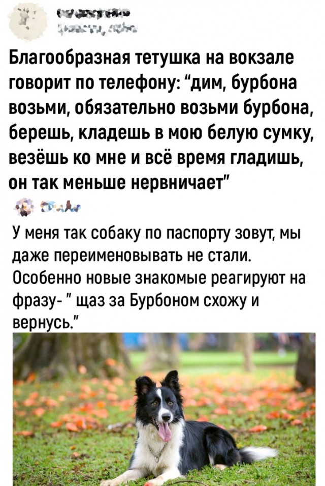 Так себе картинки 18.07.22