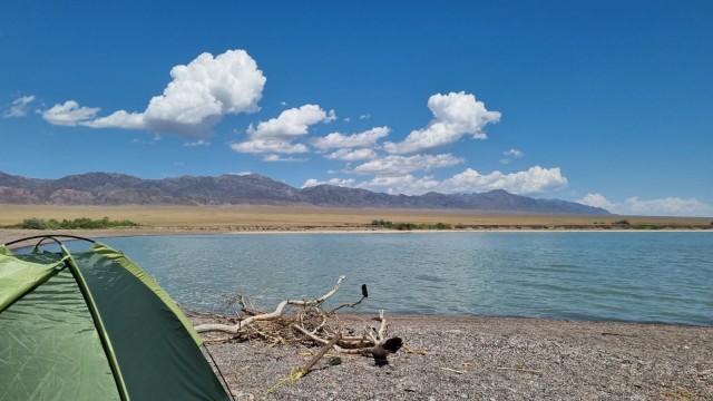 Кулинарная общалка