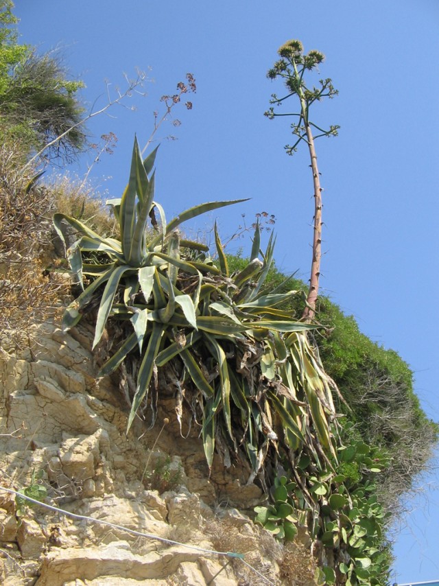 Отдых в Черногории (сентябрь 2012)