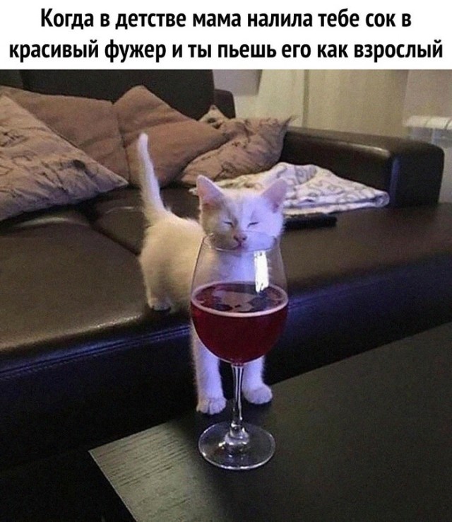 Картинки и мемы, всем хороших выходных