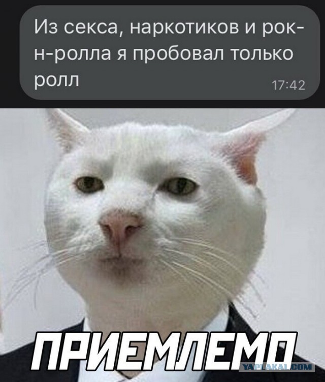 Мемчики. Опишите одним мемом, как дела, что на душе?