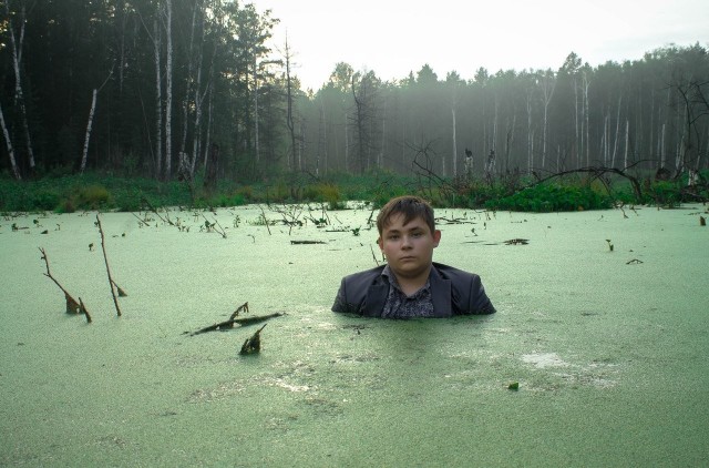 Лесной пейзаж