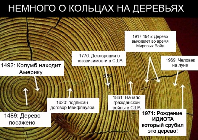 Удивительные фото, показывающих скрытую сторону мира вокруг