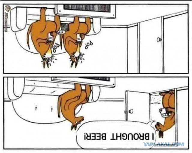 В тяжёлый понедельник хочется немного деградации