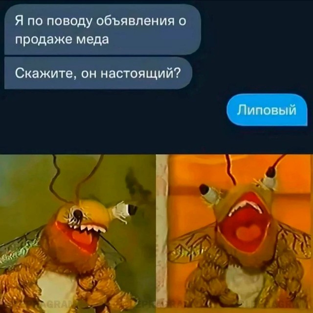 Победная поступь идиотизма по планете – том 13