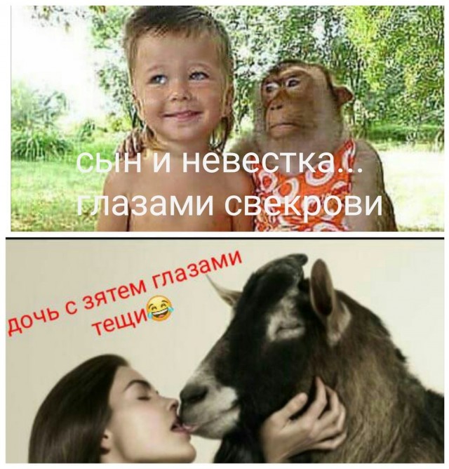Я тёща. Проблемы с зятем. Дайте совет
